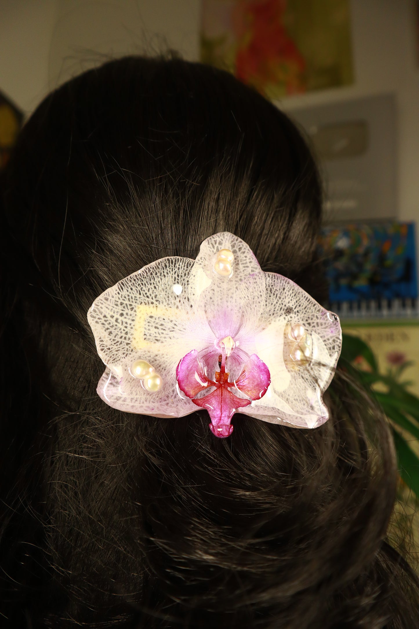 Phalaenopsis Clip