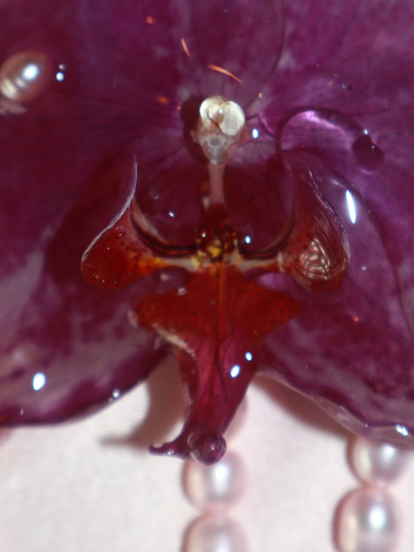 Clip~Orquídea Grande, Perlas de Aguadulce&Perlas de vidrio