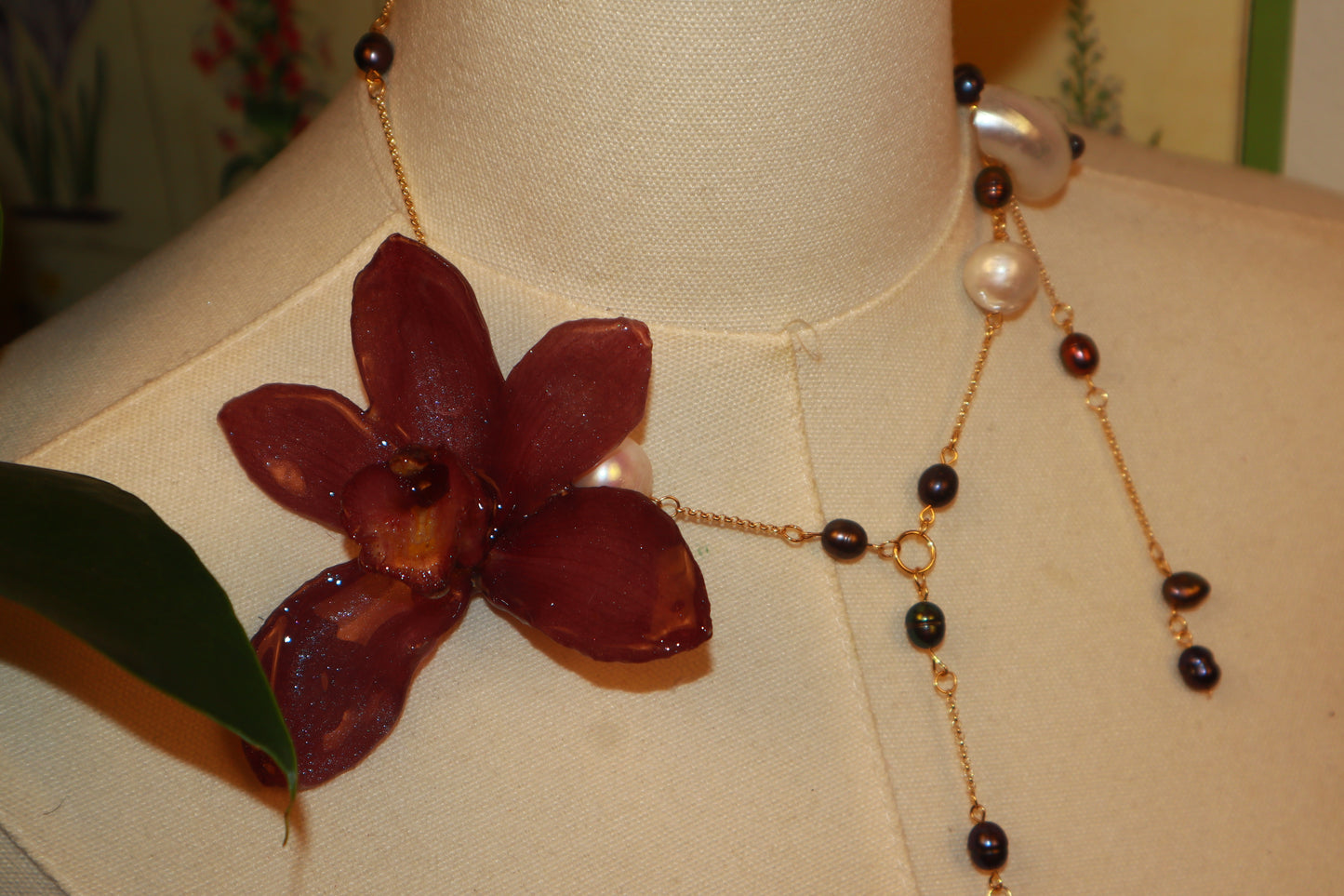 Cymbidium ⋆˚꩜。 Caribeña