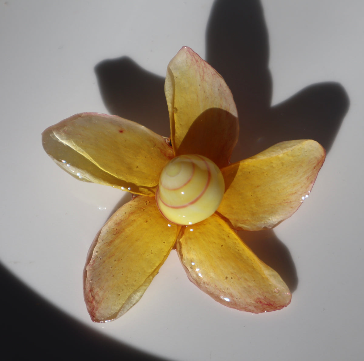 Sunny Clip