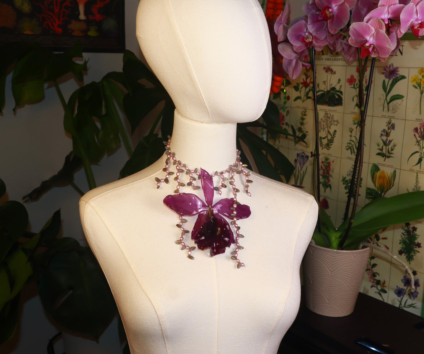 Cattleya Landscape