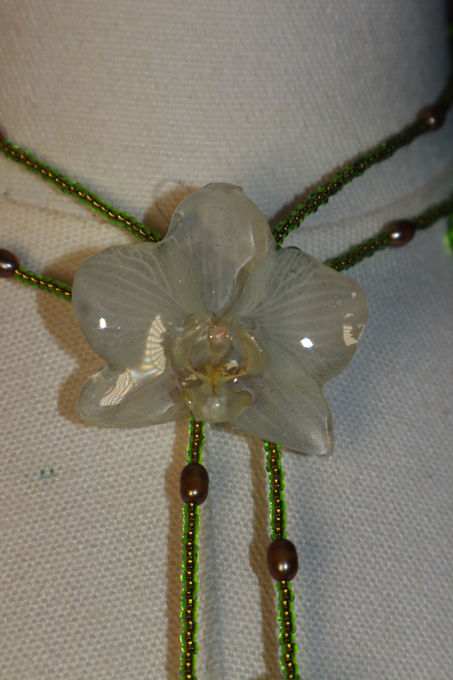 Orquídea Fresitaaaaa
