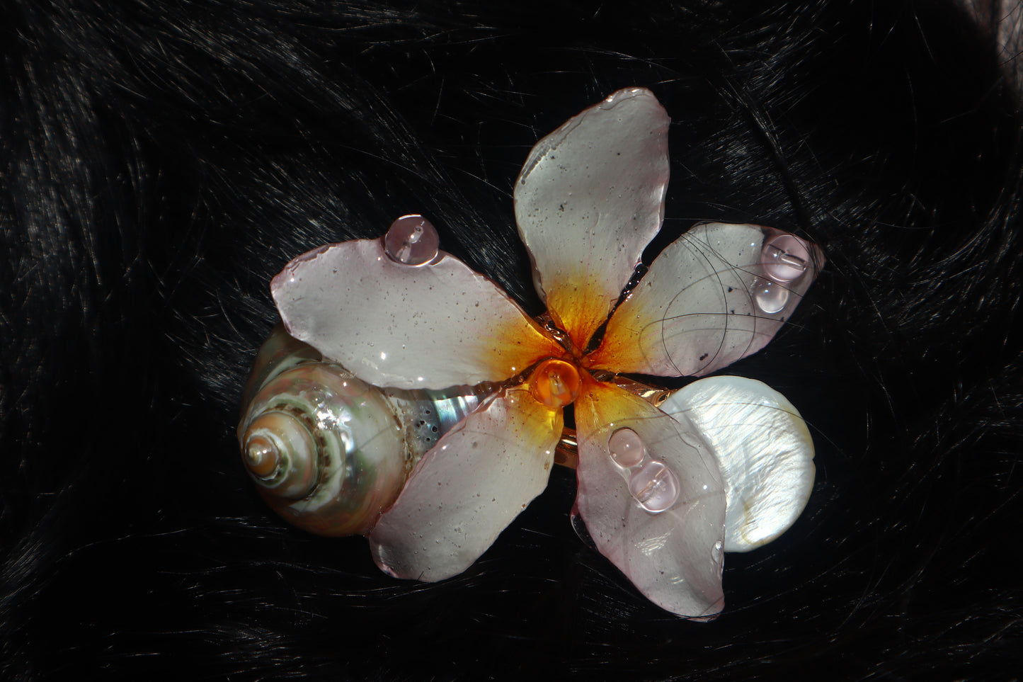 Clip~ Plumeria, Nacar & Caracol