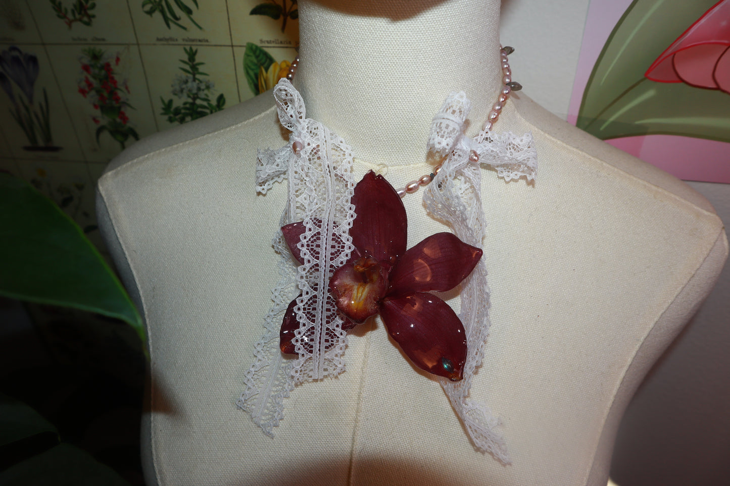 Cymbidium Ribbon