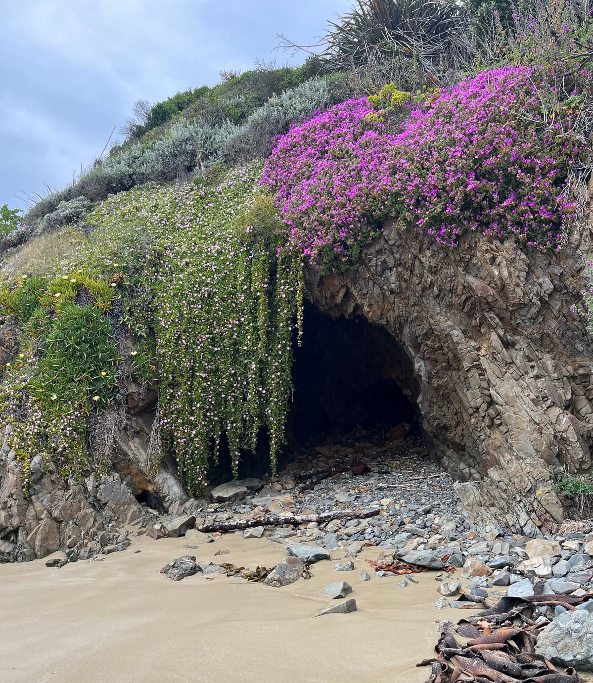 Final Bloom 💫🌸