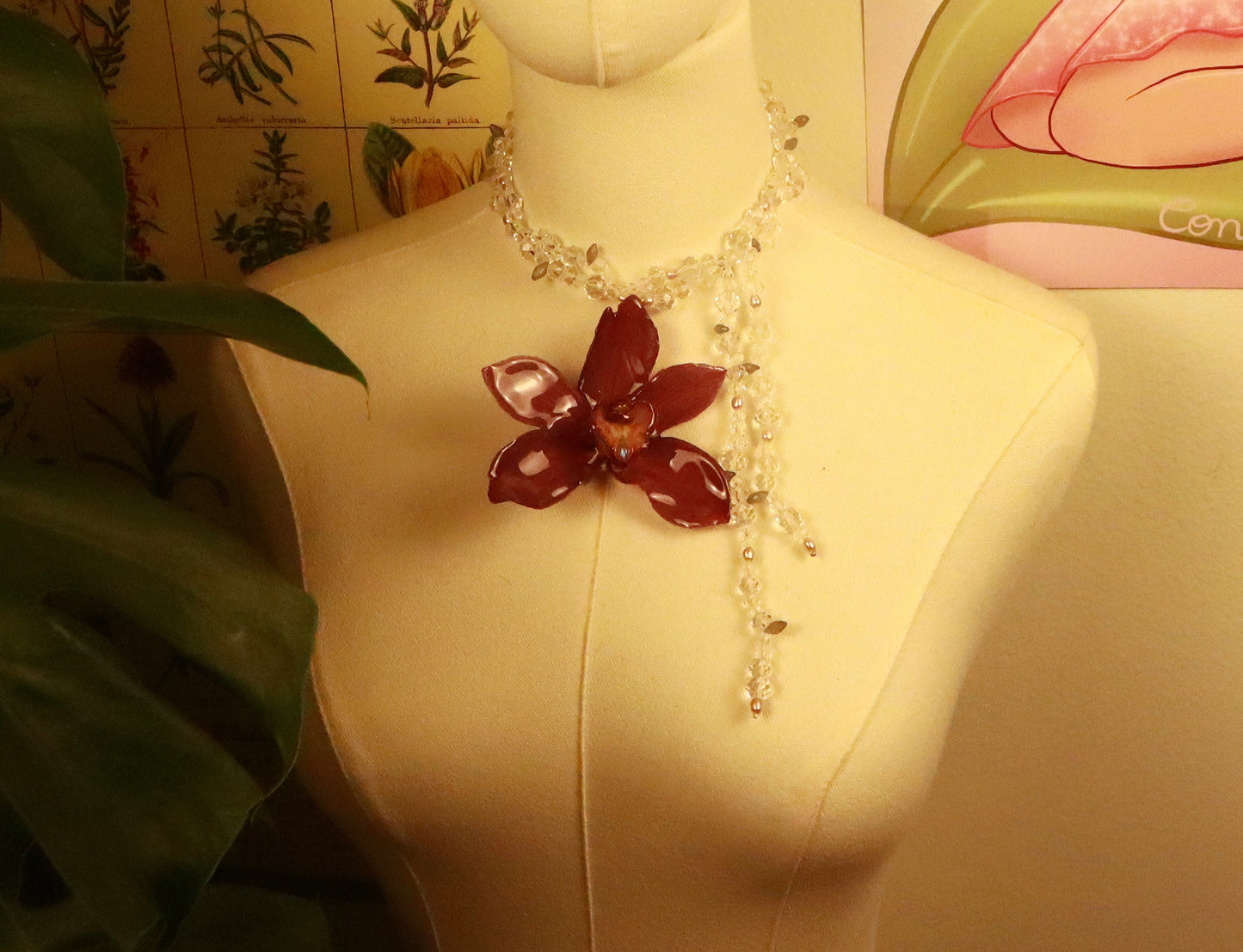 Crystals and Pearls Cymbidium