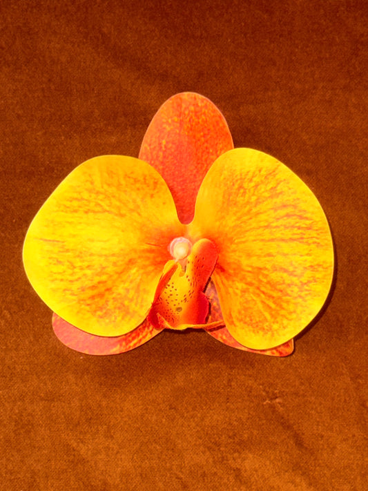 Orquídea de Fuego Hair Clip