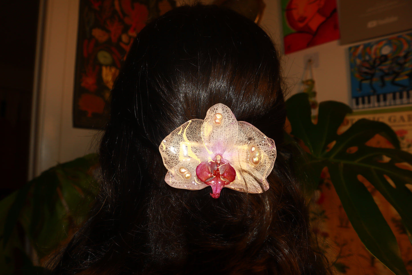 Phalaenopsis Clip