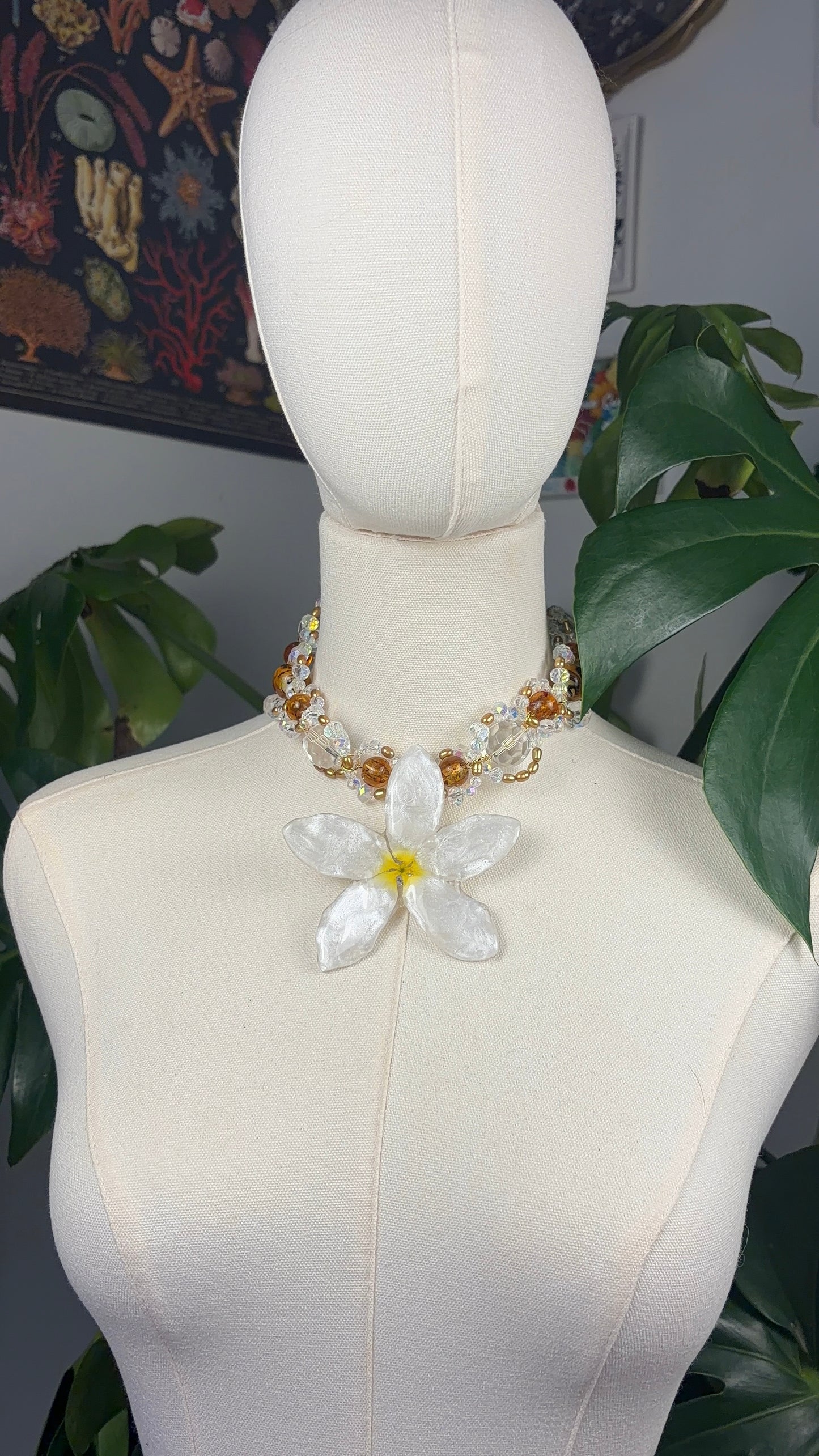 Ámbar Plumeria