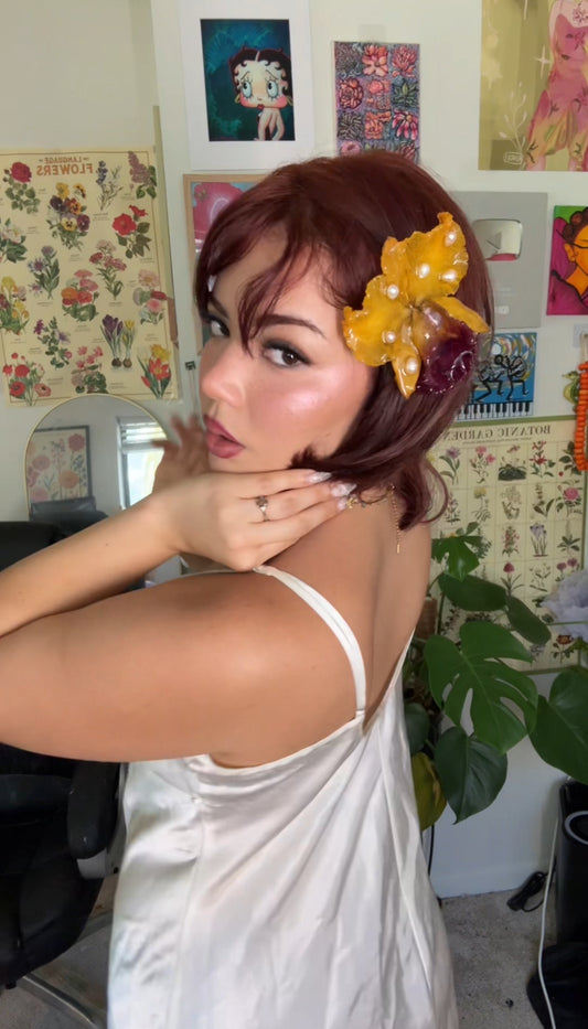 Golden Cattleya Clip