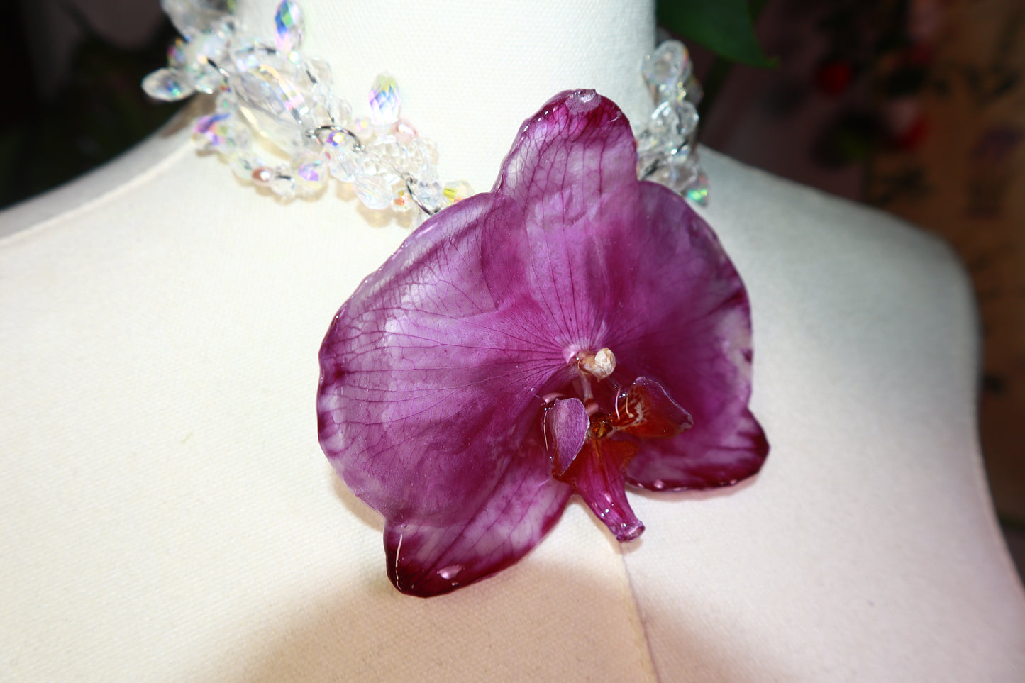 Orchid Princess