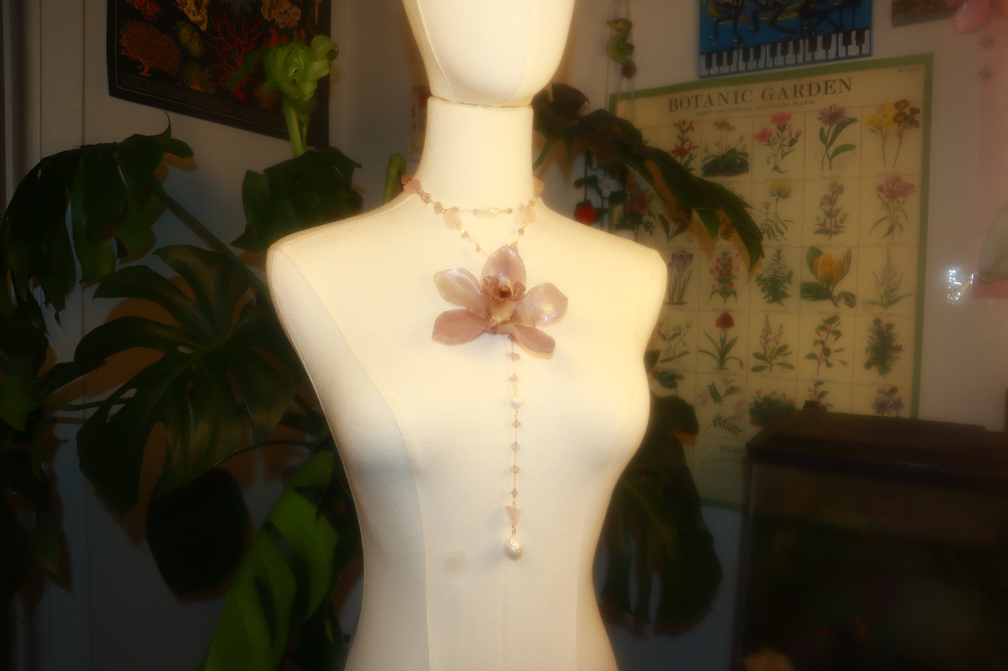 Orchid Fever