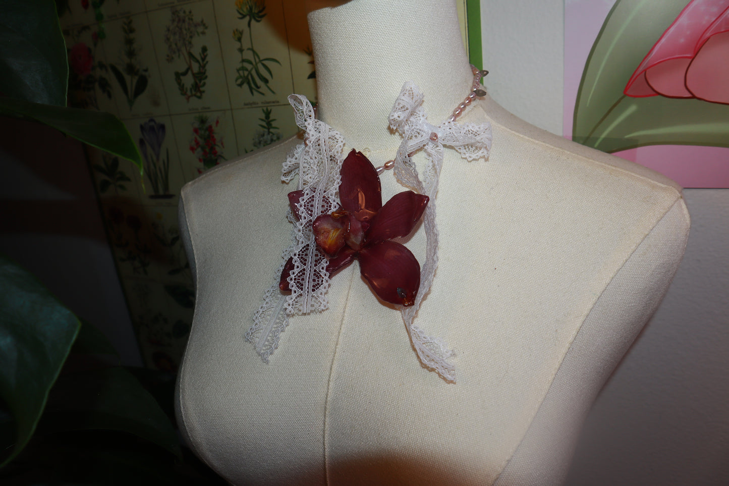 Cymbidium Ribbon
