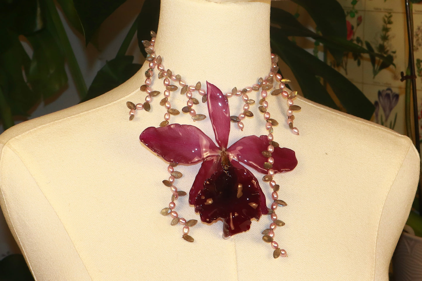 Cattleya Landscape