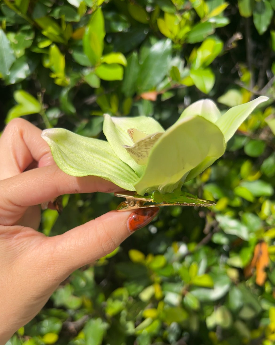 Floral Clip🌿 Green Orchid