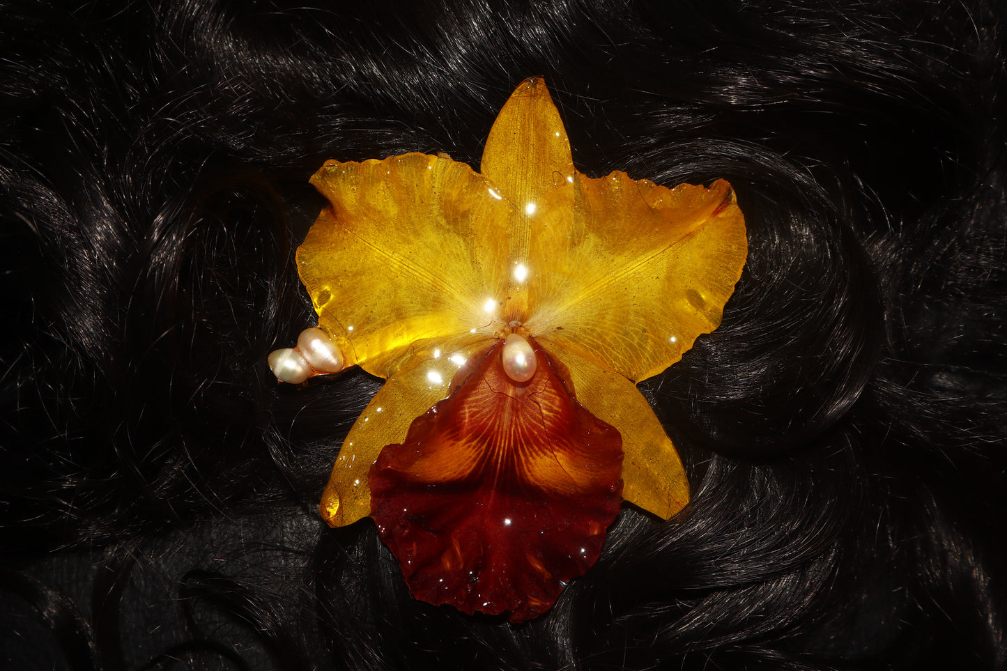 Cattleya Gigante Clip