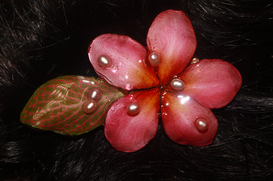 Clip~ Plumeria, Hoja & Perlas de Agua Dulce