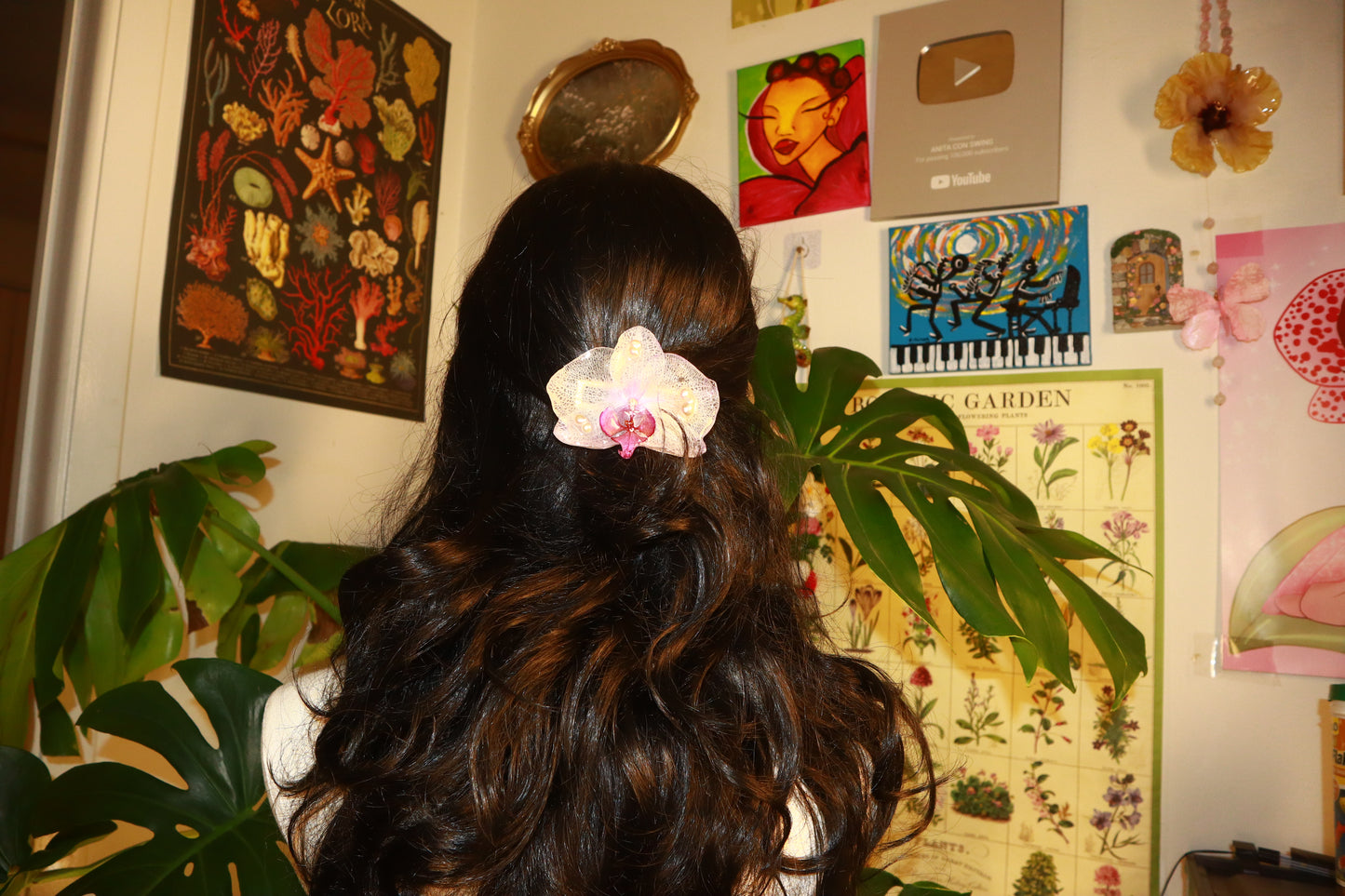 Phalaenopsis Clip