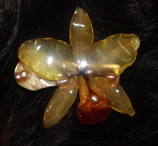 Clip~ Cattleya,Nacar & Perlas de Aguadulce