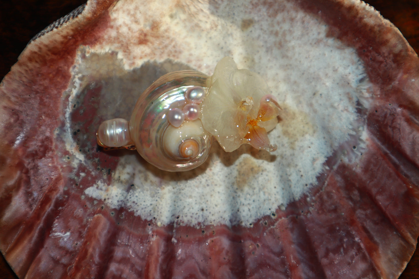 Orchid & Shell Clip