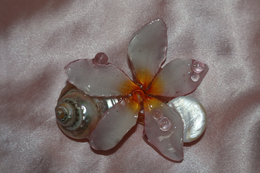 Clip~ Plumeria, Nacar & Caracol