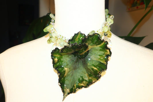 Begonia Rex Espiral 🌀