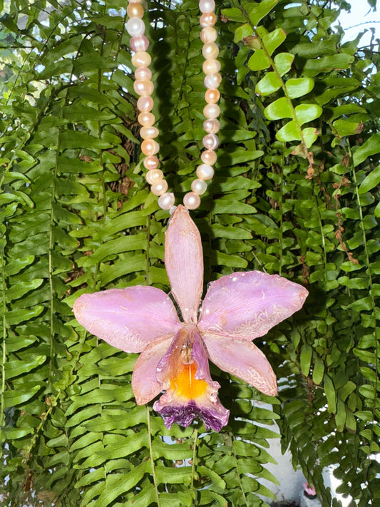 Cattleya & Perlas