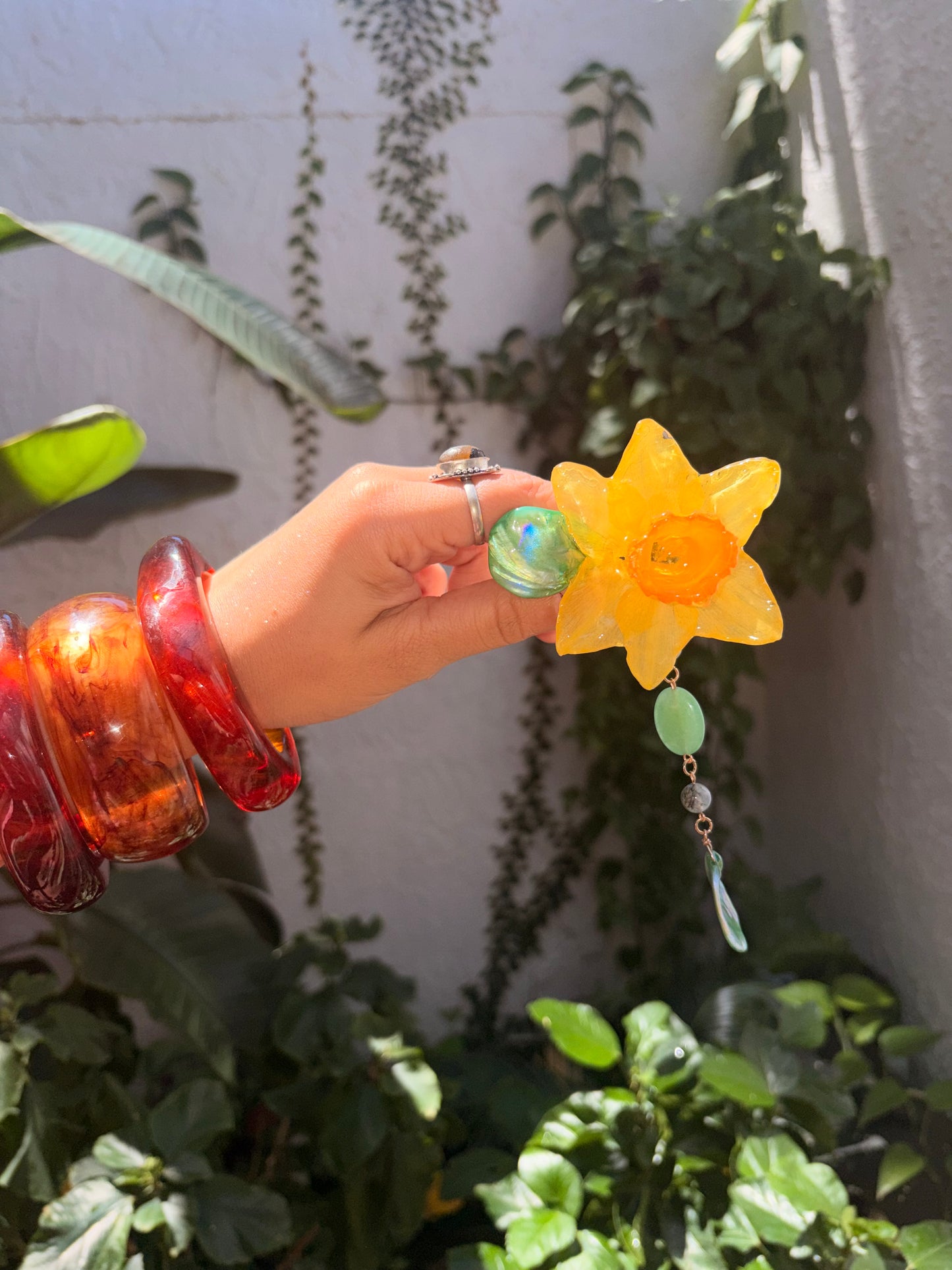 Narciso Clip