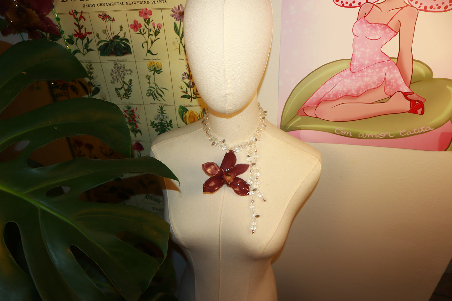 Crystals and Pearls Cymbidium