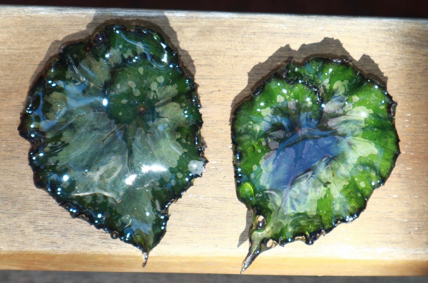 Begonia Rex Earrings