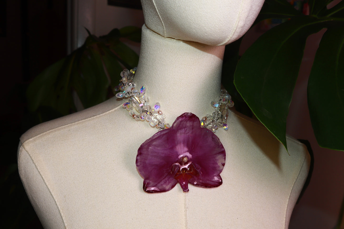 Orchid Princess