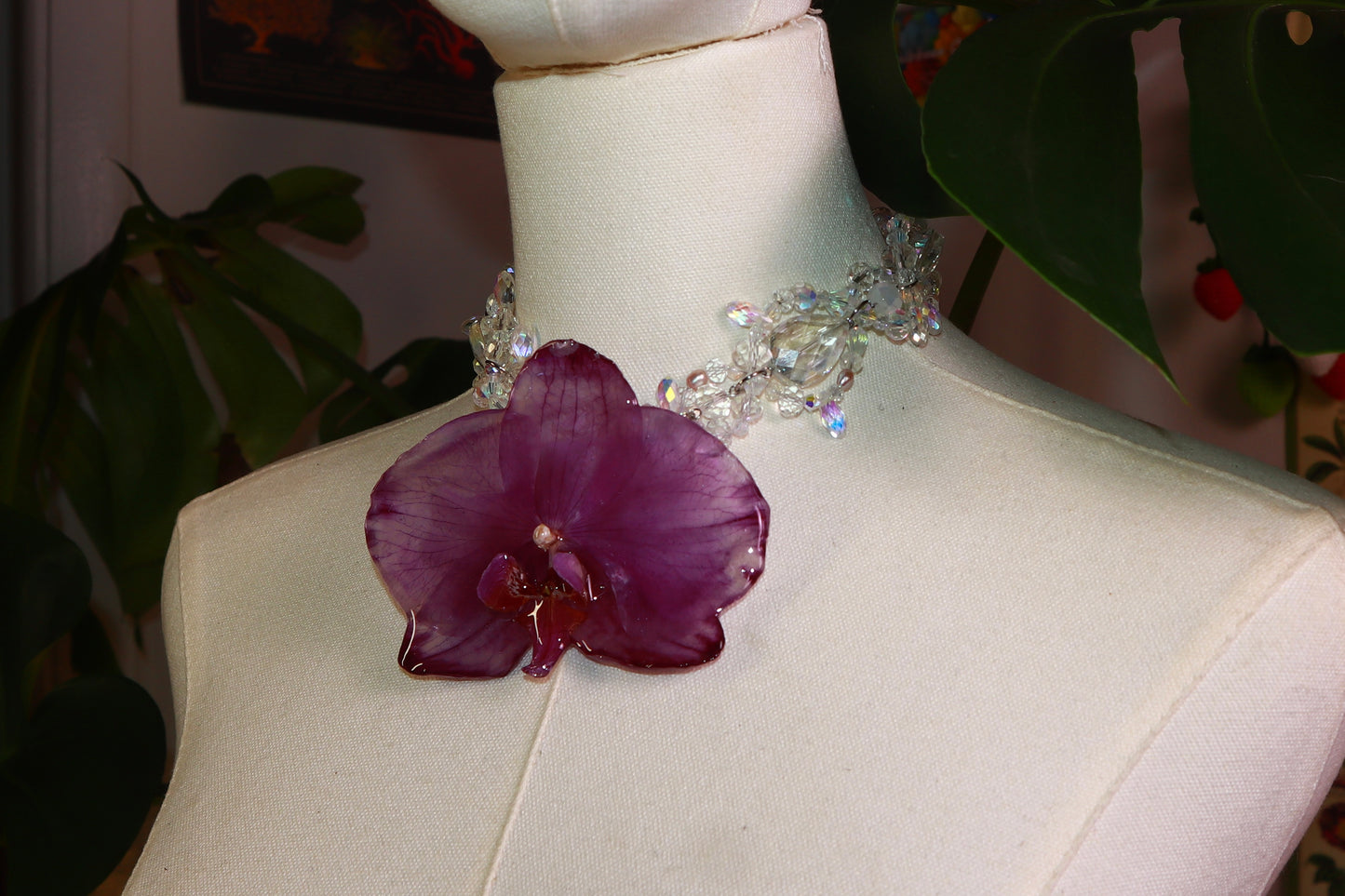 Orchid Princess