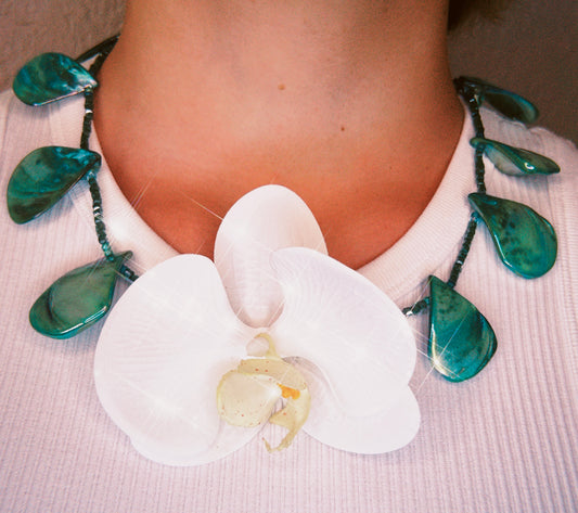 Orquídea Collar