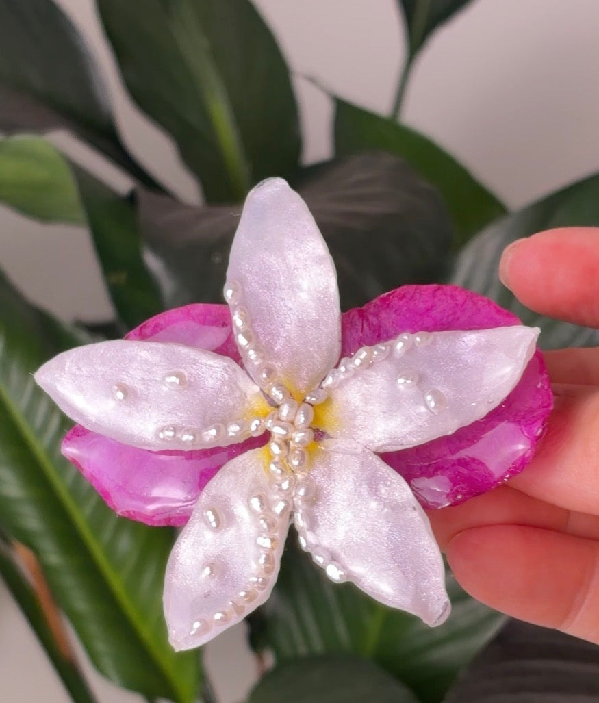 Bugambilia and Plumeria Clip