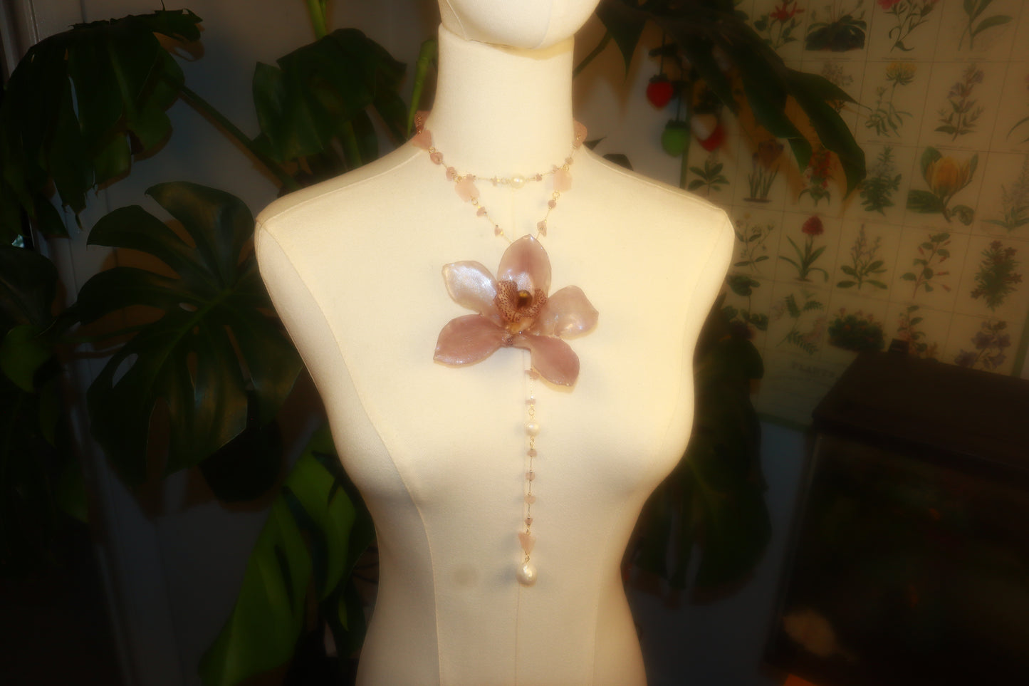 Orchid Fever