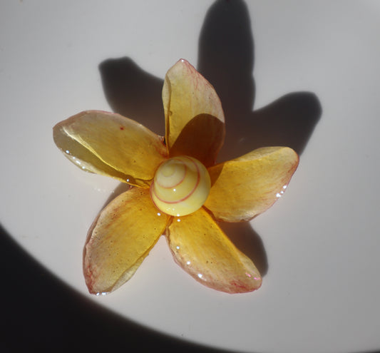 Sunny Clip