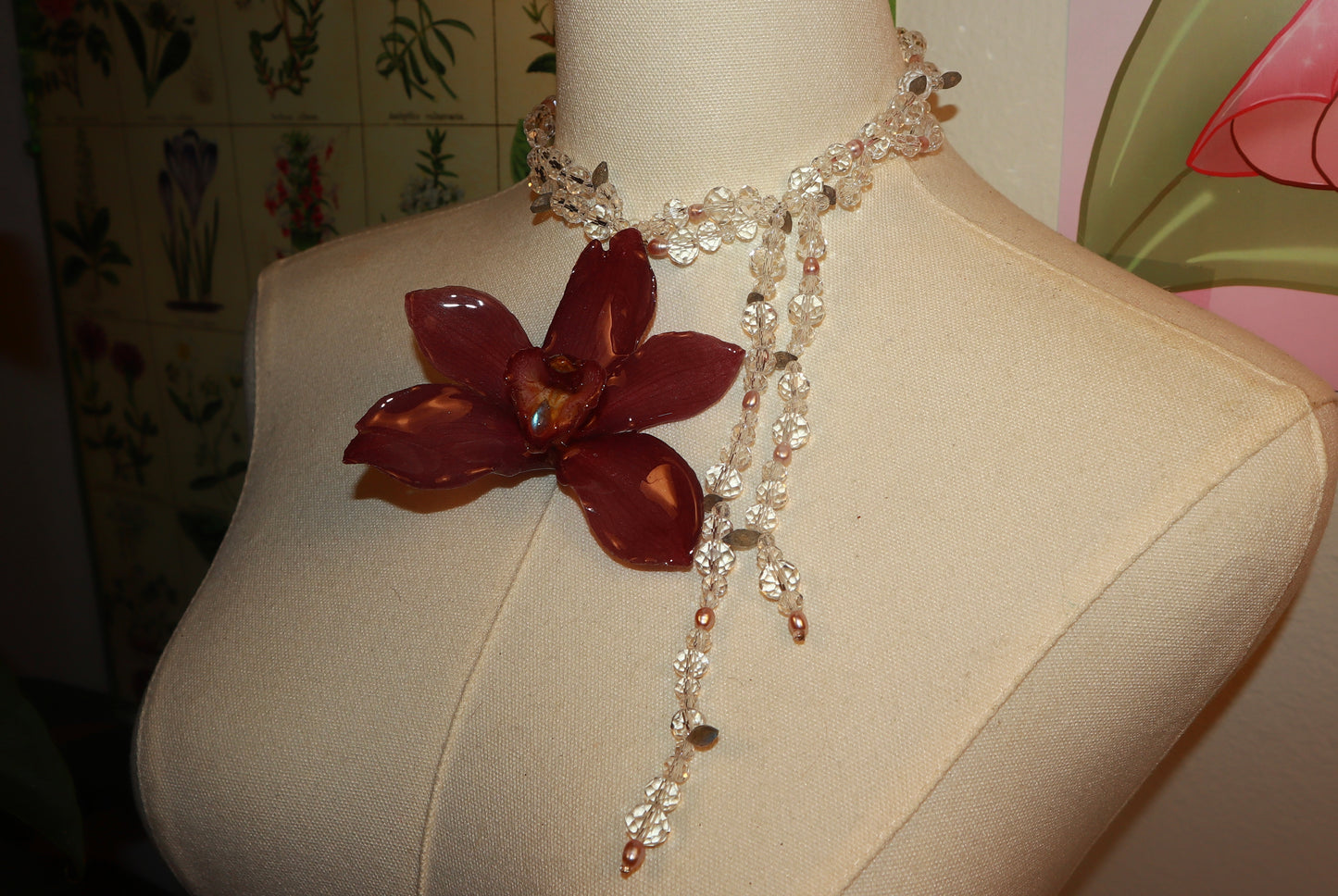 Crystals and Pearls Cymbidium