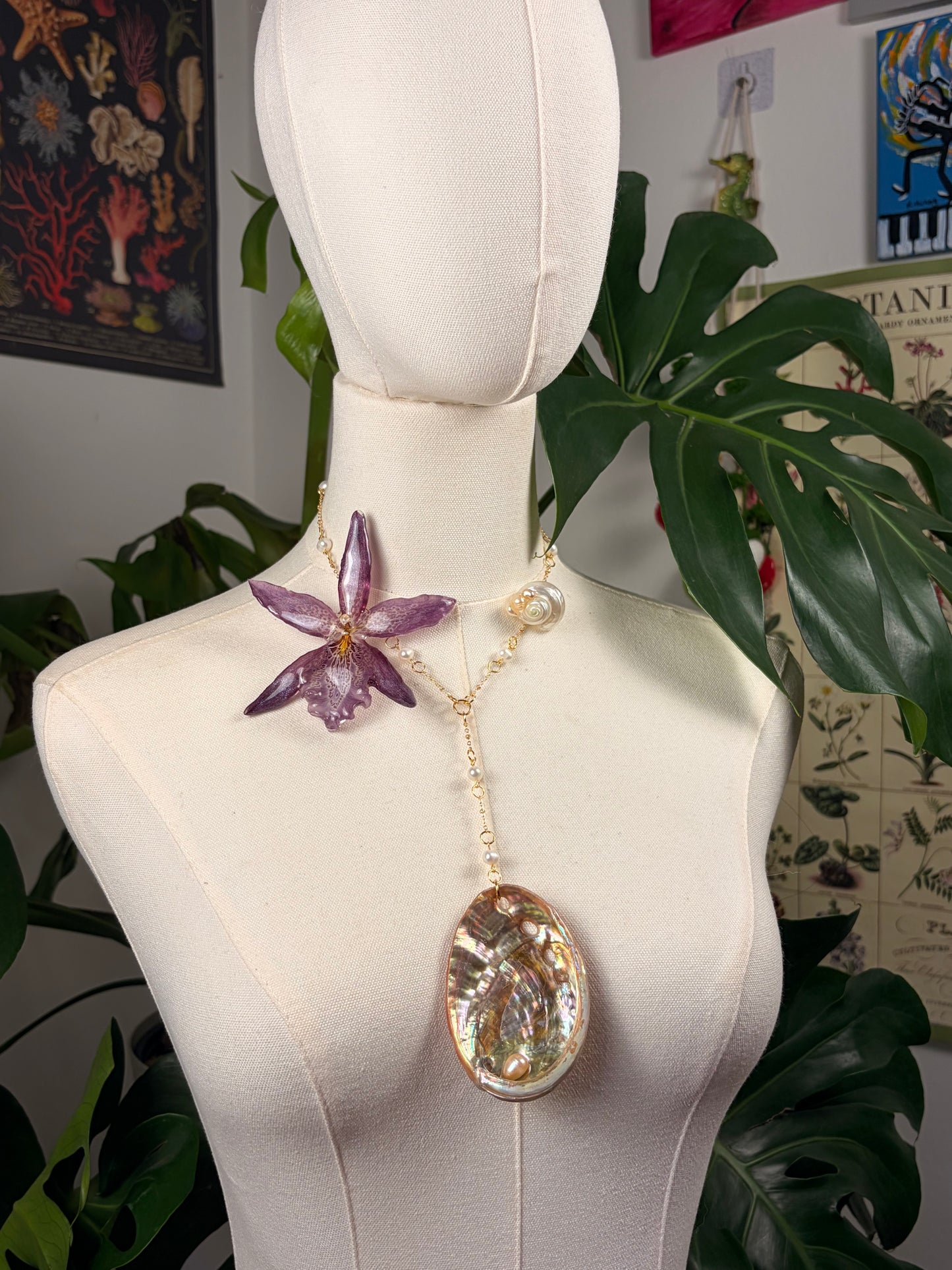 Whimsy Diva