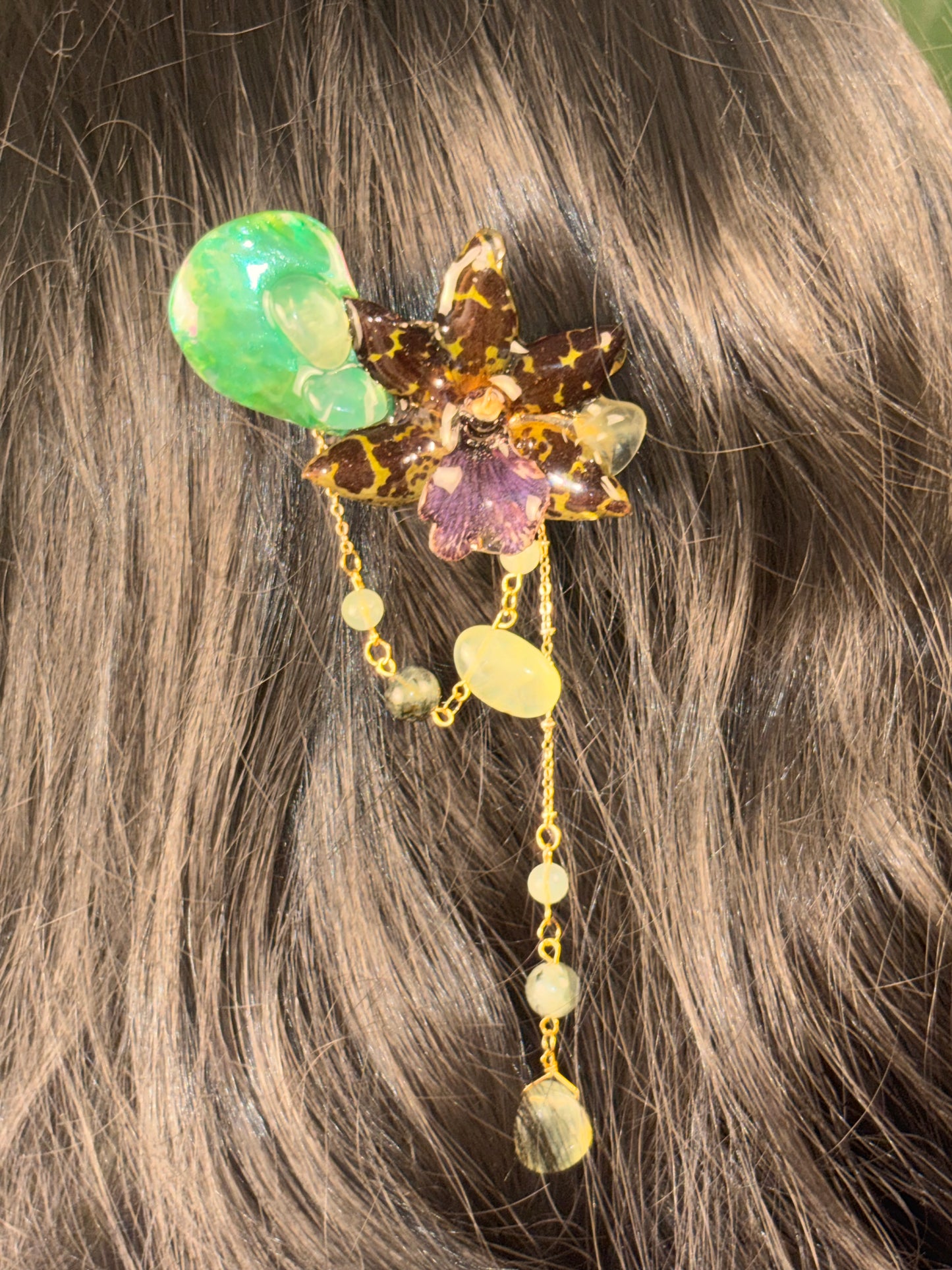 Zygopetalum Orchid Clip