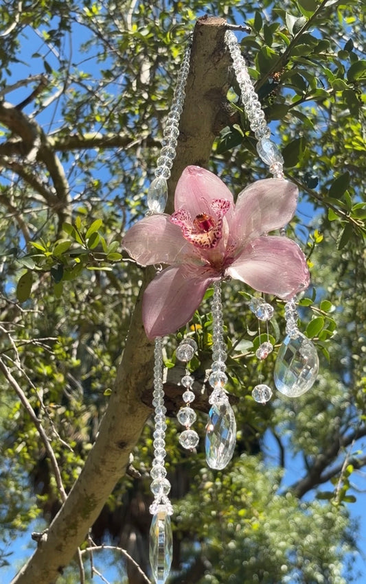 Cymbidium & Crystals Atrapasoles🌞