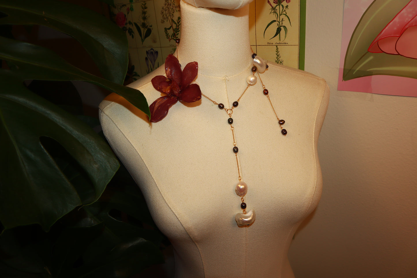 Cymbidium ⋆˚꩜｡ Caribeña