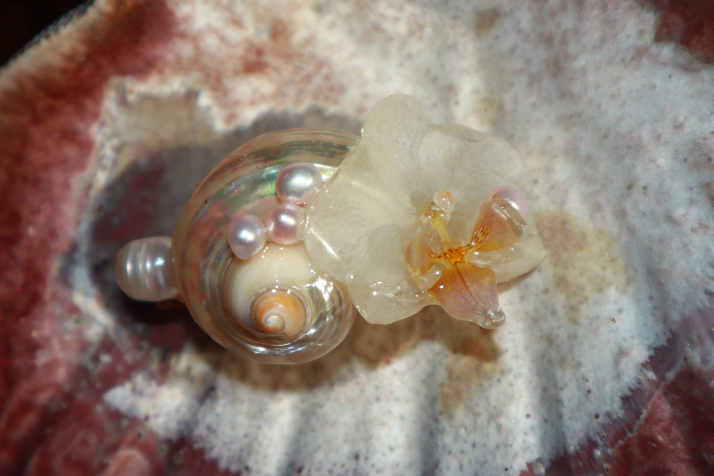 Orchid & Shell Clip