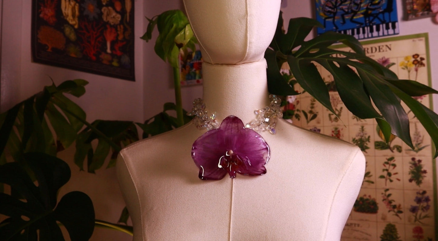 Orchid Princess