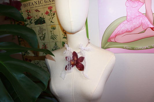 Cymbidium Ribbon
