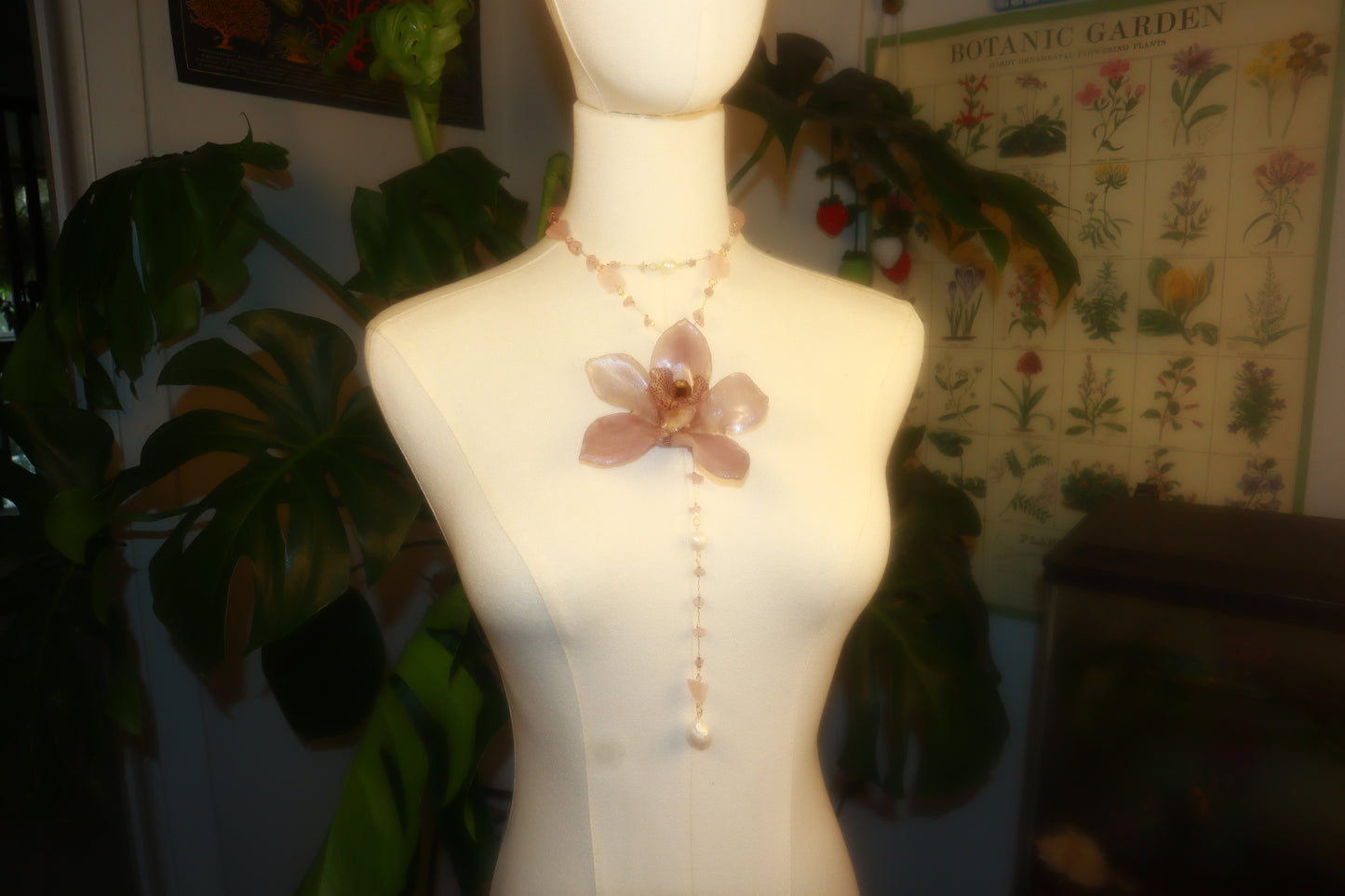 Orchid Fever