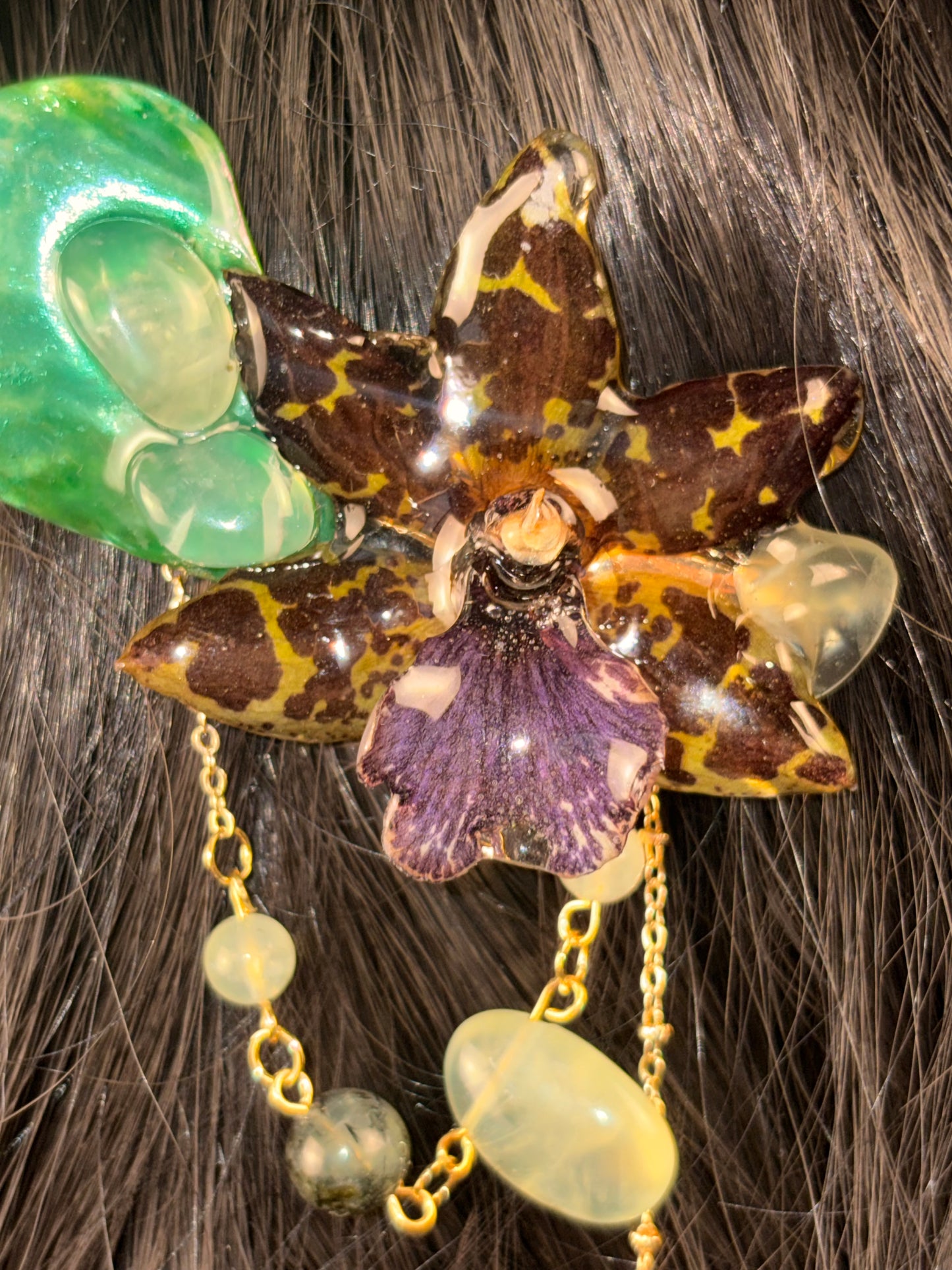 Zygopetalum Orchid Clip