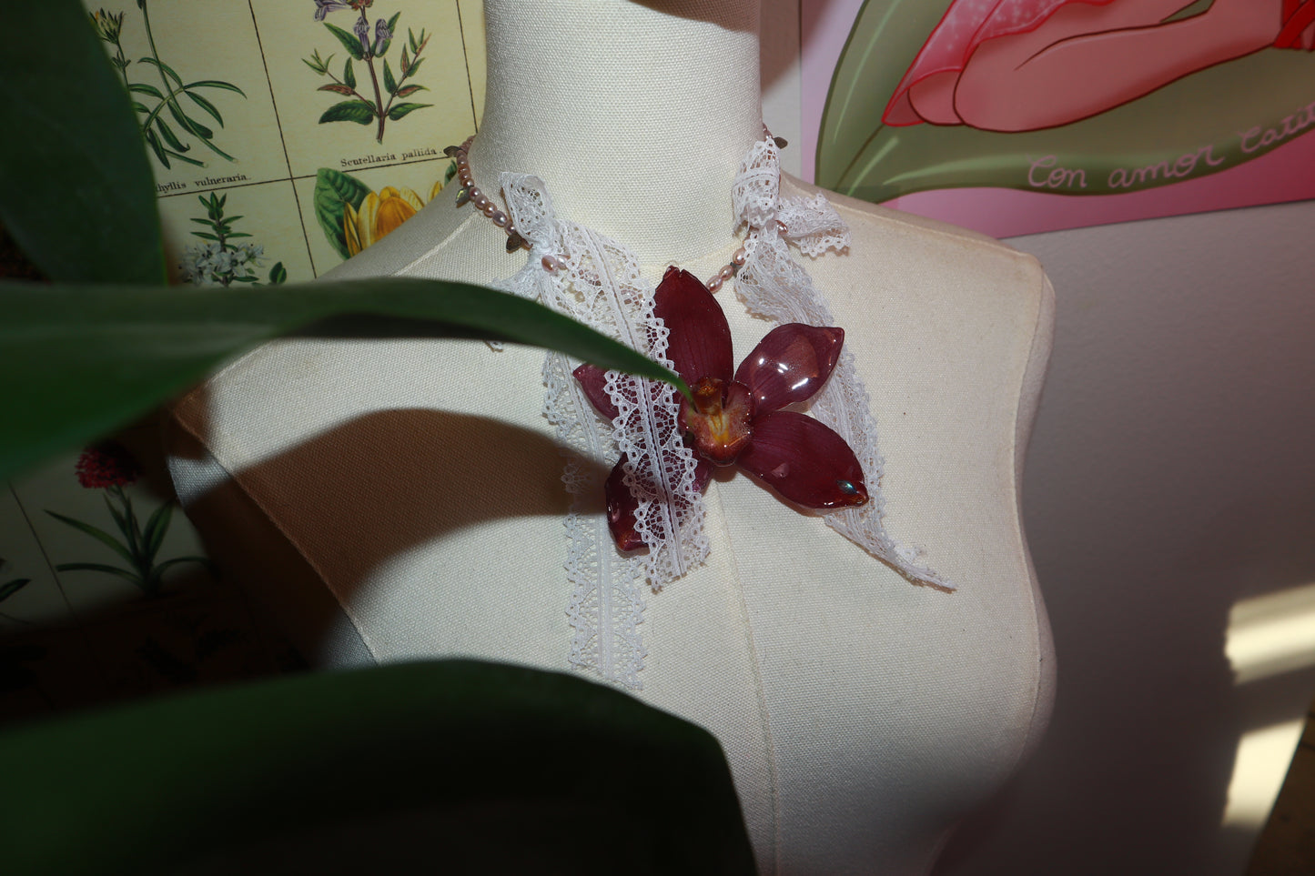 Cymbidium Ribbon