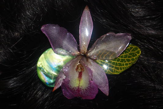 Clip~ Cattleya, Hoja & Nacar
