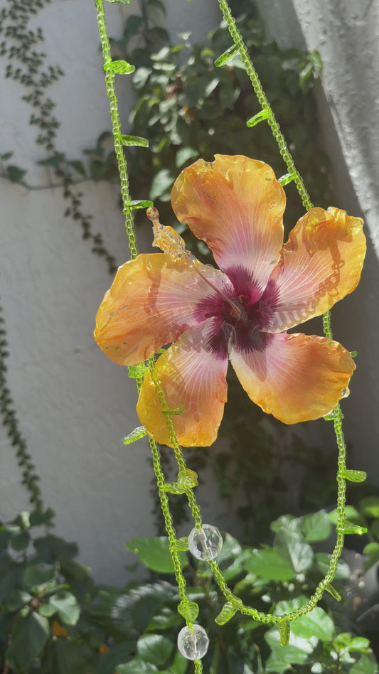 Marpacífico 🌺 Atrapasoles