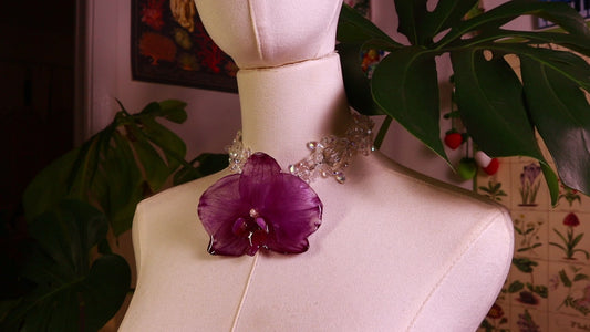 Orchid Princess